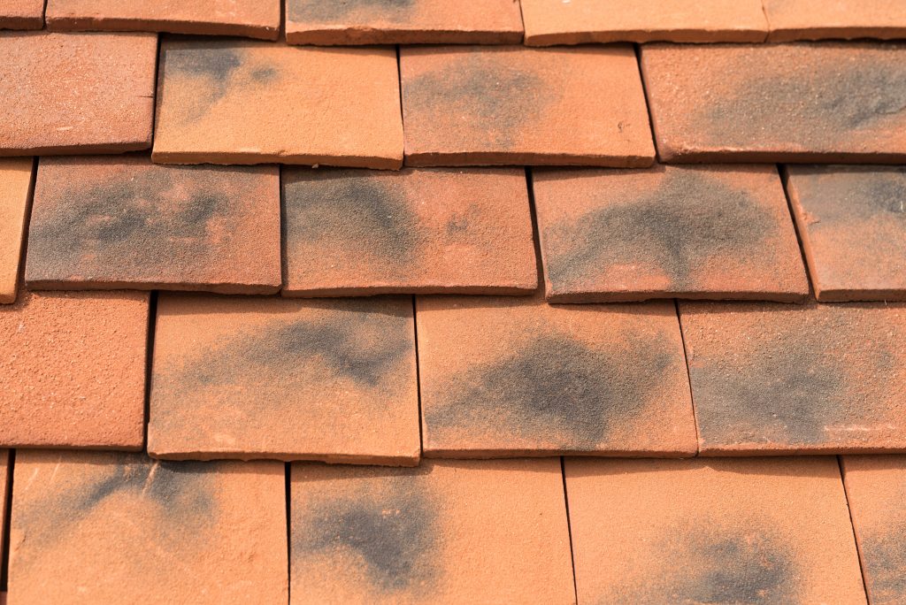 Lifestiles Roof Tiles