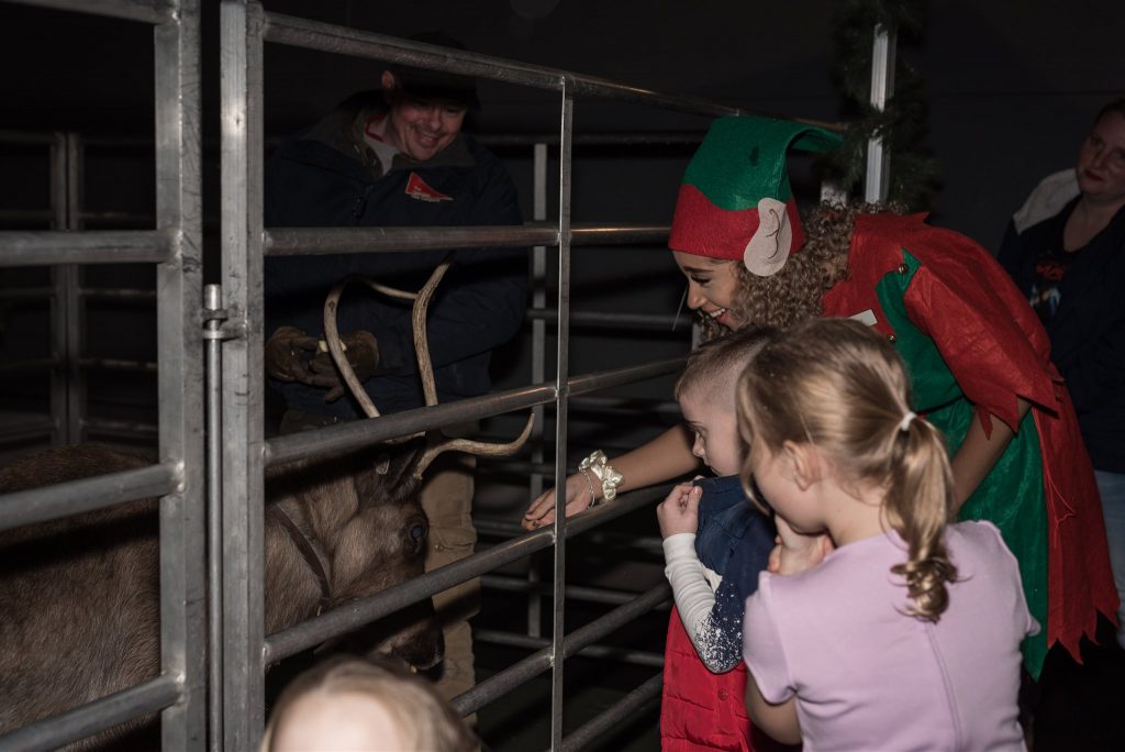 David Lloyd Colchester | DL Kids Christmas Workshop